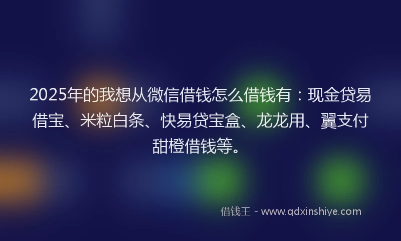 2025年的我想从微信借钱怎么借钱有：现金贷易借宝、米粒白条、快易贷宝盒、龙龙用、翼支付甜橙借钱等。