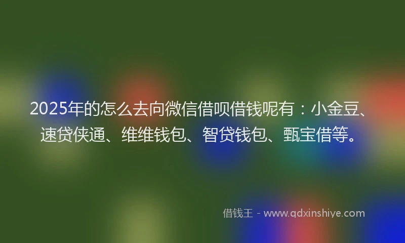 2025年的怎么去向微信借呗借钱呢有：小金豆、速贷侠通、维维钱包、智贷钱包、甄宝借等。