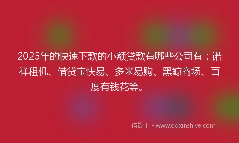 2025年的快速下款的小额贷款有哪些公司有：诺祥租机、借贷宝快易、多米易购、黑鲸商场、百度有钱花等。