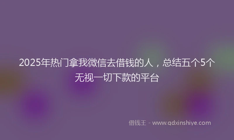 2025年热门拿我微信去借钱的人，总结五个5个无视一切下款的平台