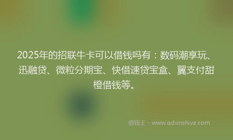 2025年的招联牛卡可以借钱吗有：数码潮享玩、迅融贷、微粒分期宝、快借速贷宝盒、翼支付甜橙借钱等。