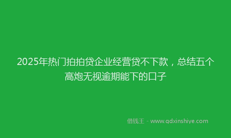 2025年热门拍拍贷企业经营贷不下款，总结五个高炮无视逾期能下的口子