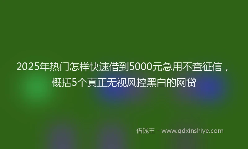 2025年热门怎样快速借到5000元急用不查征信，概括5个真正无视风控黑白的网贷
