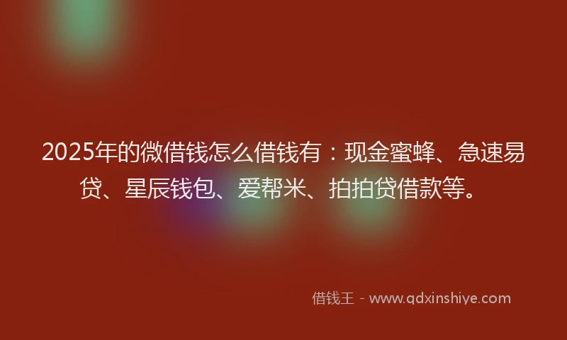 2025年的微借钱怎么借钱有：现金蜜蜂、急速易贷、星辰钱包、爱帮米、拍拍贷借款等。