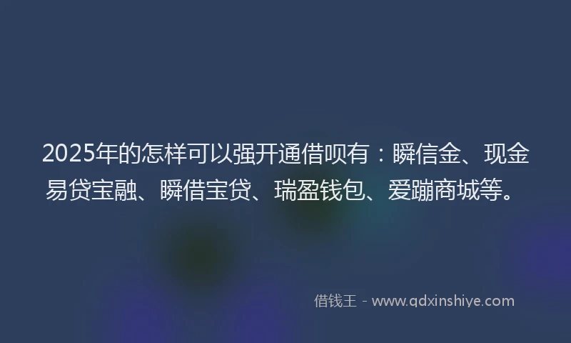 2025年的怎样可以强开通借呗有：瞬信金、现金易贷宝融、瞬借宝贷、瑞盈钱包、爱蹦商城等。