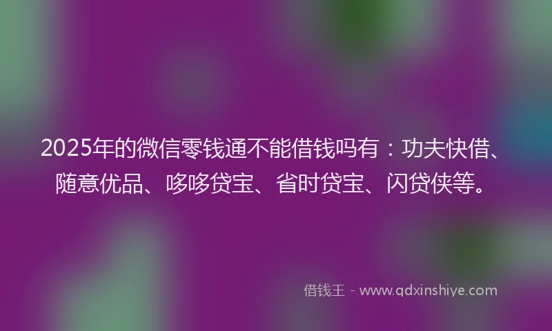 2025年的微信零钱通不能借钱吗有：功夫快借、随意优品、哆哆贷宝、省时贷宝、闪贷侠等。