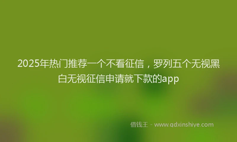2025年热门推荐一个不看征信，罗列五个无视黑白无视征信申请就下款的app
