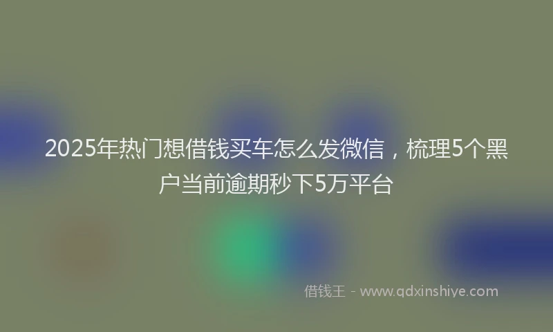 2025年热门想借钱买车怎么发微信，梳理5个黑户当前逾期秒下5万平台