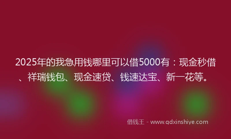 2025年的我急用钱哪里可以借5000有：现金秒借、祥瑞钱包、现金速贷、钱速达宝、新一花等。