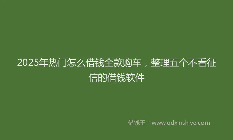 2025年热门怎么借钱全款购车，整理五个不看征信的借钱软件