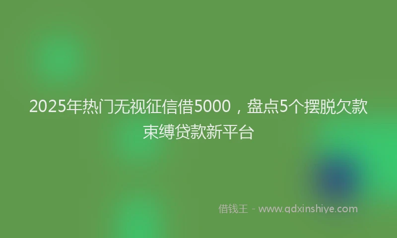2025年热门无视征信借5000，盘点5个摆脱欠款束缚贷款新平台