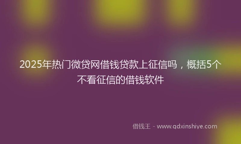 2025年热门微贷网借钱贷款上征信吗，概括5个不看征信的借钱软件