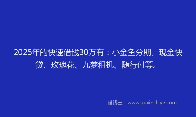2025年的快速借钱30万有：小金鱼分期、现金快贷、玫瑰花、九梦租机、随行付等。