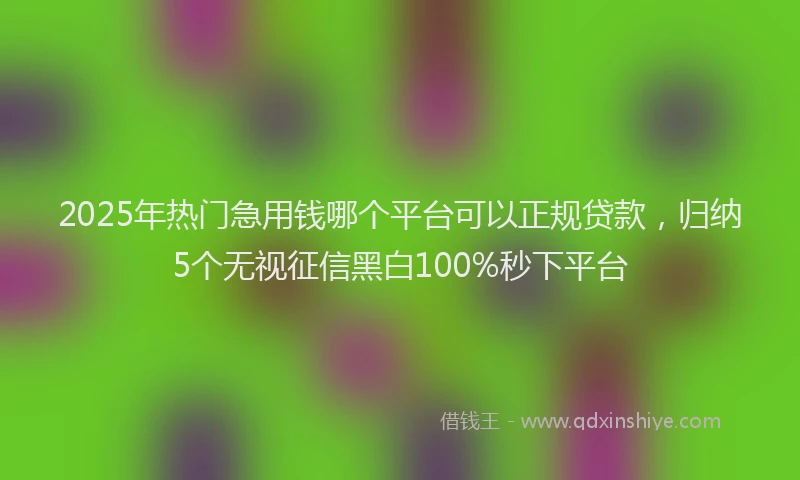 2025年热门急用钱哪个平台可以正规贷款，归纳5个无视征信黑白100%秒下平台