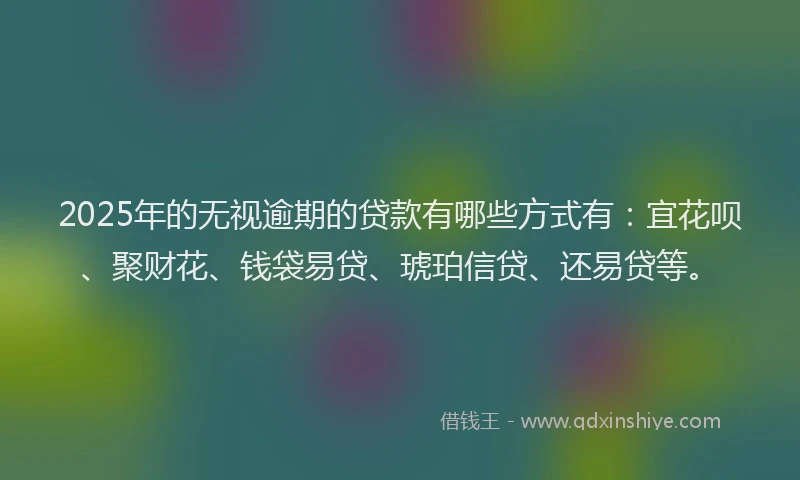 2025年的无视逾期的贷款有哪些方式有：宜花呗、聚财花、钱袋易贷、琥珀信贷、还易贷等。