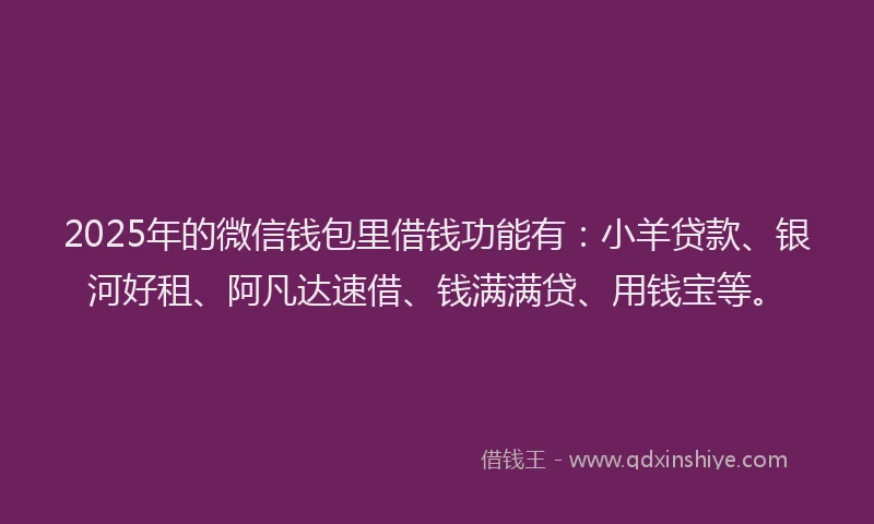2025年的微信钱包里借钱功能有：小羊贷款、银河好租、阿凡达速借、钱满满贷、用钱宝等。