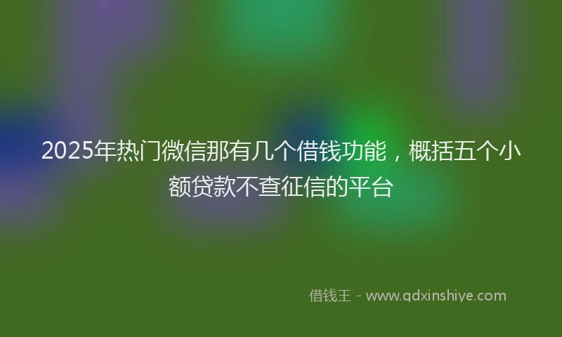 2025年热门微信那有几个借钱功能，概括五个小额贷款不查征信的平台