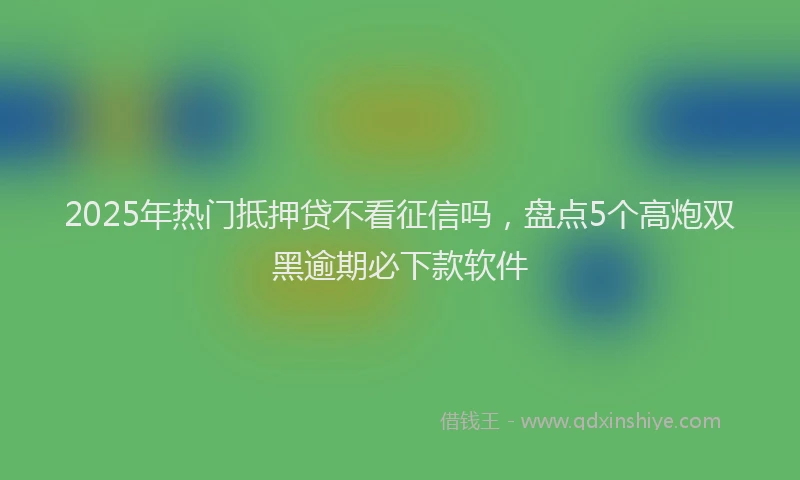 2025年热门抵押贷不看征信吗，盘点5个高炮双黑逾期必下款软件