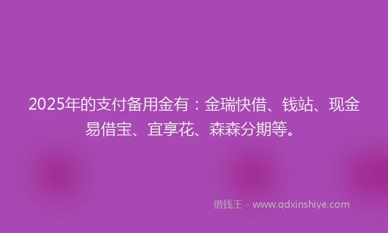 2025年的支付备用金有：金瑞快借、钱站、现金易借宝、宜享花、森森分期等。