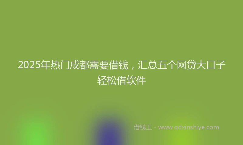 2025年热门成都需要借钱，汇总五个网贷大口子轻松借软件