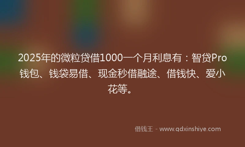 2025年的微粒贷借1000一个月利息有：智贷Pro钱包、钱袋易借、现金秒借融途、借钱快、爱小花等。