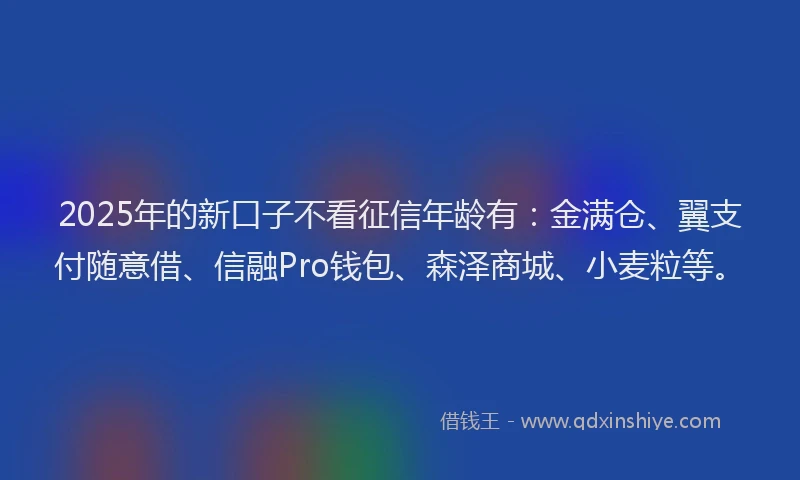 2025年的新口子不看征信年龄有：金满仓、翼支付随意借、信融Pro钱包、森泽商城、小麦粒等。
