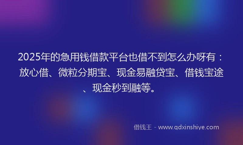 2025年的急用钱借款平台也借不到怎么办呀有：放心借、微粒分期宝、现金易融贷宝、借钱宝途、现金秒到融等。