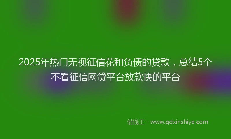 2025年热门无视征信花和负债的贷款，总结5个不看征信网贷平台放款快的平台