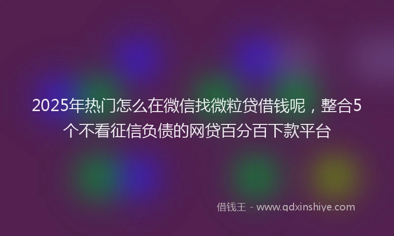 2025年热门怎么在微信找微粒贷借钱呢，整合5个不看征信负债的网贷百分百下款平台