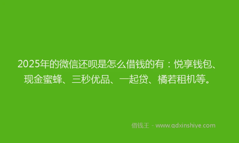 2025年的微信还呗是怎么借钱的有：悦享钱包、现金蜜蜂、三秒优品、一起贷、橘若租机等。