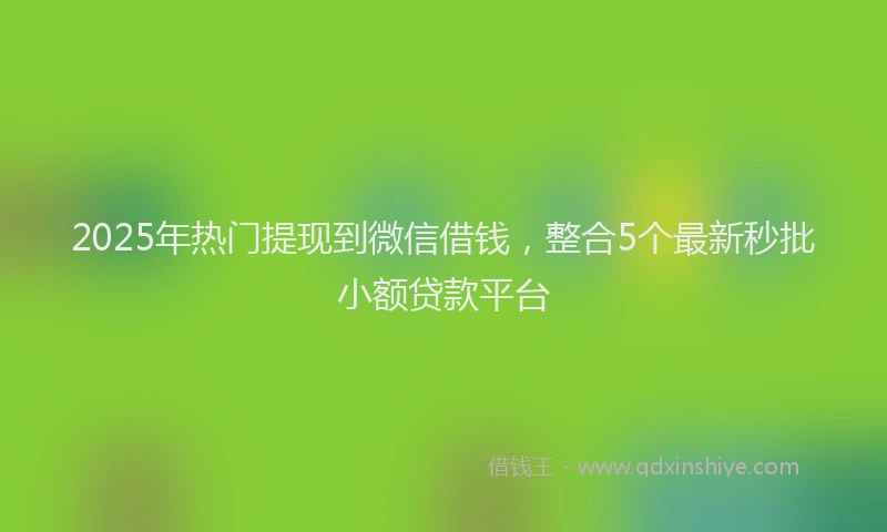 2025年热门提现到微信借钱，整合5个最新秒批小额贷款平台