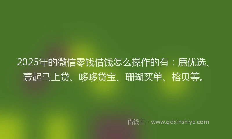 2025年的微信零钱借钱怎么操作的有：鹿优选、壹起马上贷、哆哆贷宝、珊瑚买单、榕贝等。