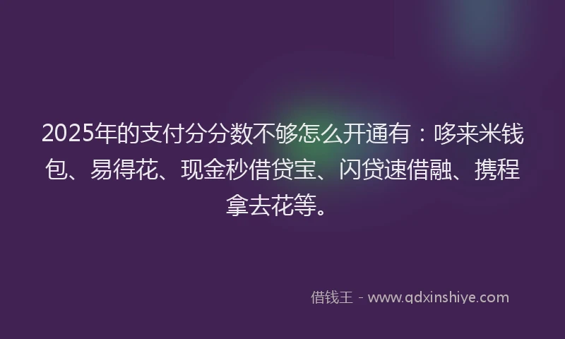 2025年的支付分分数不够怎么开通有：哆来米钱包、易得花、现金秒借贷宝、闪贷速借融、携程拿去花等。