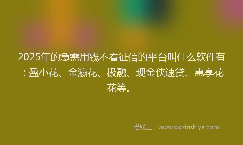 2025年的急需用钱不看征信的平台叫什么软件有：盈小花、金瀛花、极融、现金侠速贷、惠享花花等。