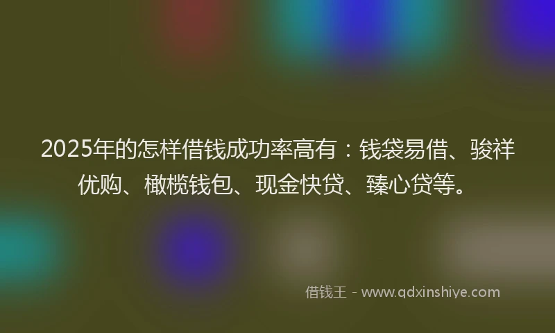 2025年的怎样借钱成功率高有：钱袋易借、骏祥优购、橄榄钱包、现金快贷、臻心贷等。
