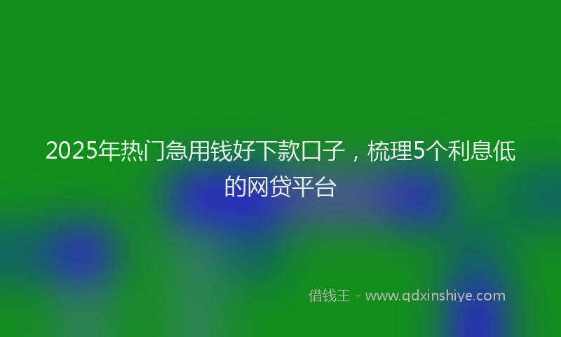 2025年热门急用钱好下款口子，梳理5个利息低的网贷平台
