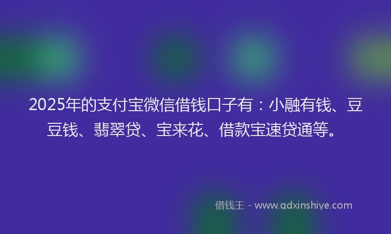 2025年的支付宝微信借钱口子有：小融有钱、豆豆钱、翡翠贷、宝来花、借款宝速贷通等。