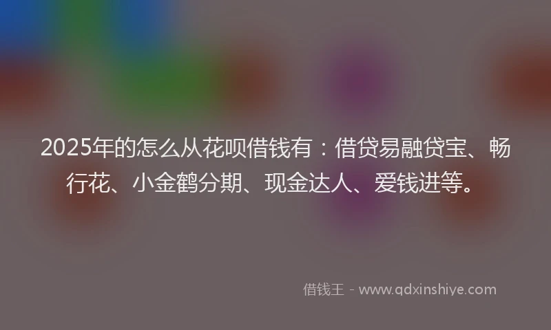 2025年的怎么从花呗借钱有：借贷易融贷宝、畅行花、小金鹤分期、现金达人、爱钱进等。