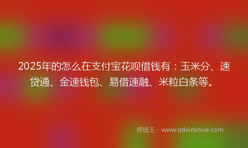 2025年的怎么在支付宝花呗借钱有：玉米分、速贷通、金速钱包、易借速融、米粒白条等。