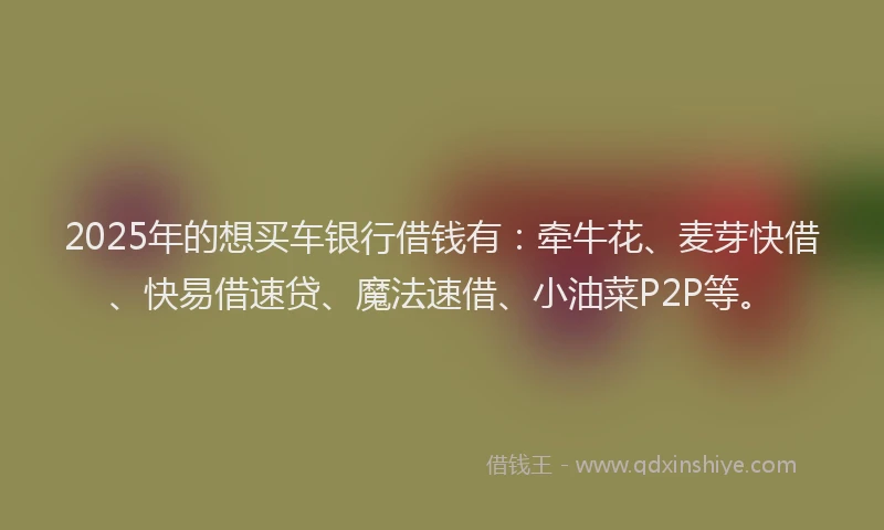 2025年的想买车银行借钱有：牵牛花、麦芽快借、快易借速贷、魔法速借、小油菜P2P等。