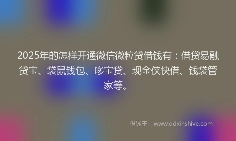2025年的怎样开通微信微粒贷借钱有：借贷易融贷宝、袋鼠钱包、哆宝贷、现金侠快借、钱袋管家等。