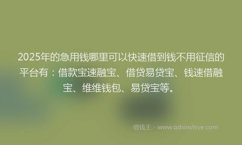 2025年的急用钱哪里可以快速借到钱不用征信的平台有：借款宝速融宝、借贷易贷宝、钱速借融宝、维维钱包、易贷宝等。