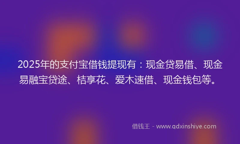 2025年的支付宝借钱提现有：现金贷易借、现金易融宝贷途、桔享花、爱木速借、现金钱包等。