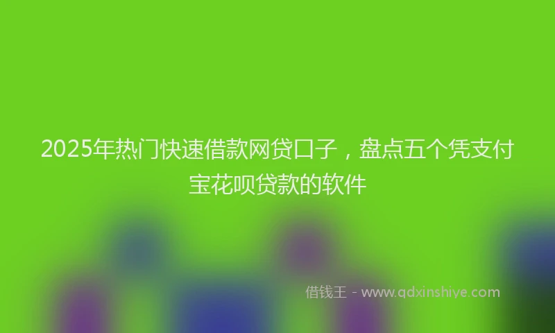 2025年热门快速借款网贷口子，盘点五个凭支付宝花呗贷款的软件