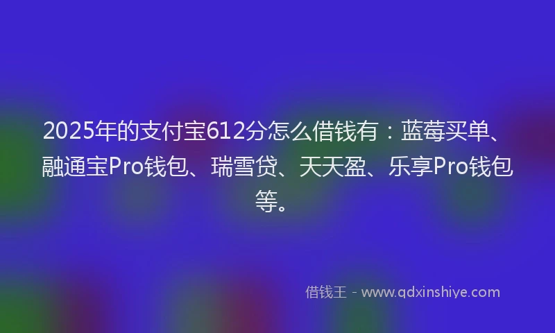 2025年的支付宝612分怎么借钱有：蓝莓买单、融通宝Pro钱包、瑞雪贷、天天盈、乐享Pro钱包等。