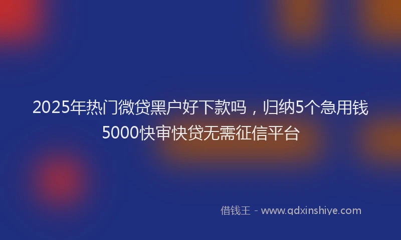 2025年热门微贷黑户好下款吗，归纳5个急用钱5000快审快贷无需征信平台