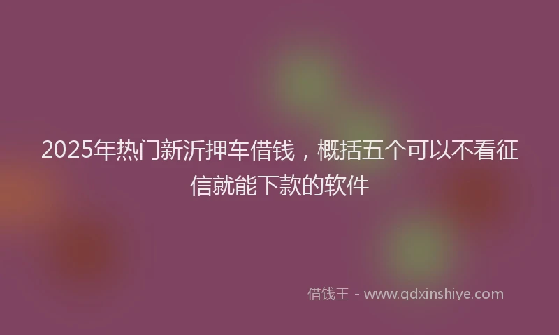 2025年热门新沂押车借钱，概括五个可以不看征信就能下款的软件