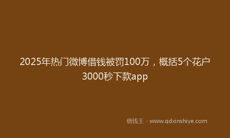 2025年热门微博借钱被罚100万，概括5个花户3000秒下款app