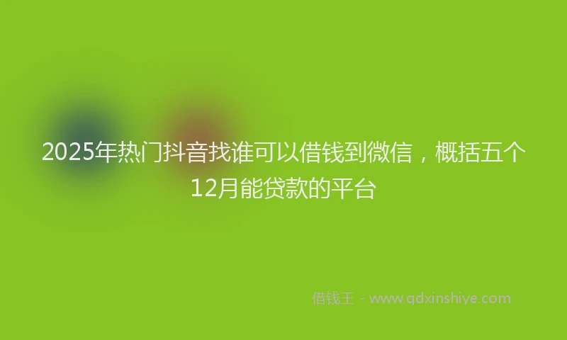 2025年热门抖音找谁可以借钱到微信，概括五个12月能贷款的平台