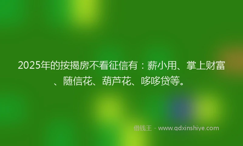 2025年的按揭房不看征信有：薪小用、掌上财富、随信花、葫芦花、哆哆贷等。